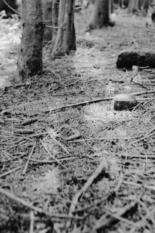 Repose-toi bien (2013) poster