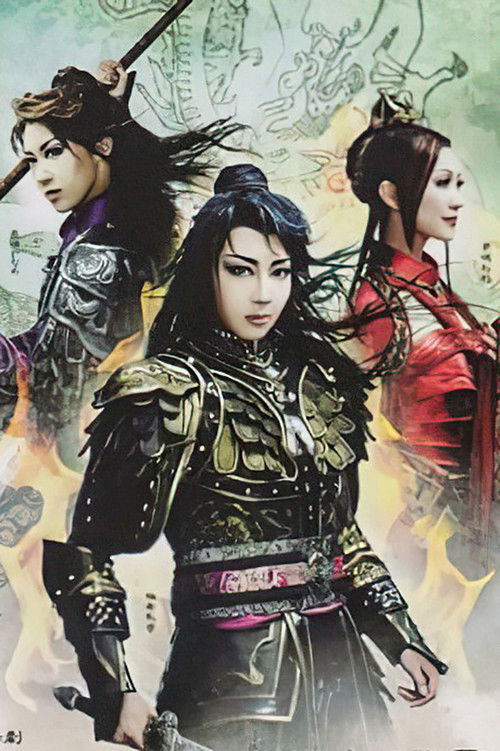 The Legend of the Great King and Four Gods Ver.II - The Awakening of the New King - (2009) poster