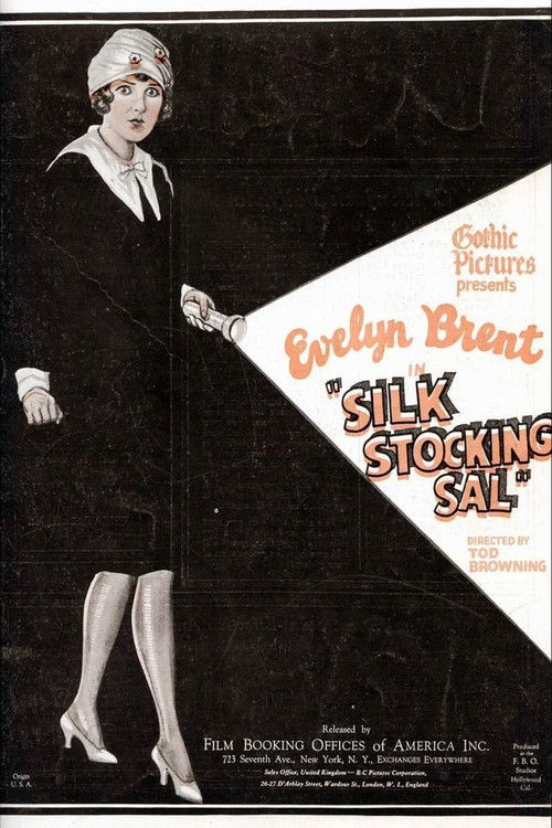 Silk Stocking Sal (1924) poster