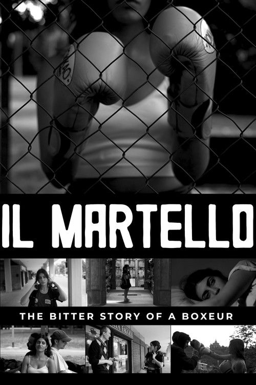 Il Martello (2024) poster