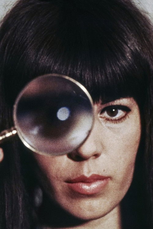 The Portrait (1966) poster