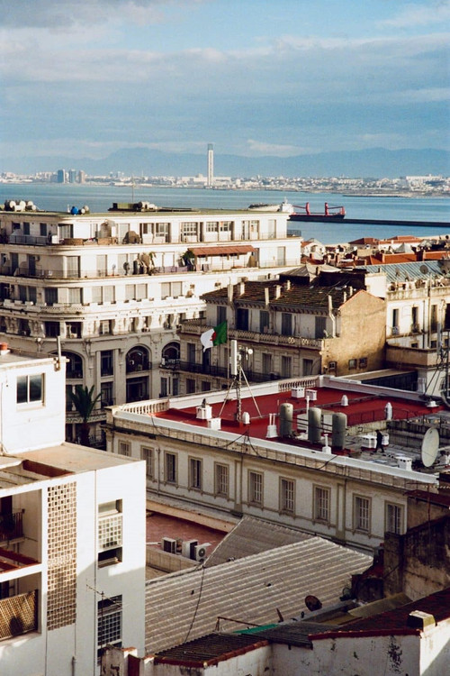 TIF | On The Corner (Alger, Algérie) (2022) poster