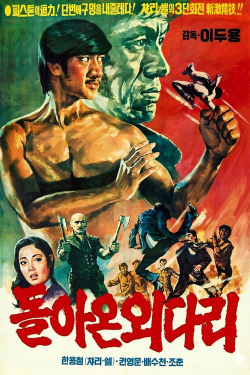 돌아온 외다리 (1974) poster