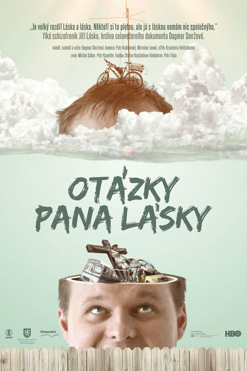 Otázky pana Lásky (2013) poster