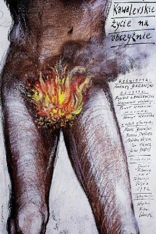 A Bachelor's Life Abroad (1993) poster