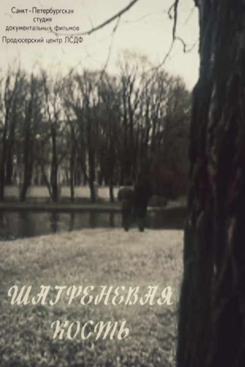 Shagreen Bone (1992) poster