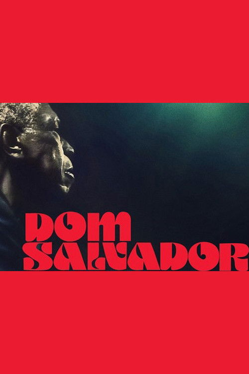 Dom Salvador & The Abolition (2020) poster