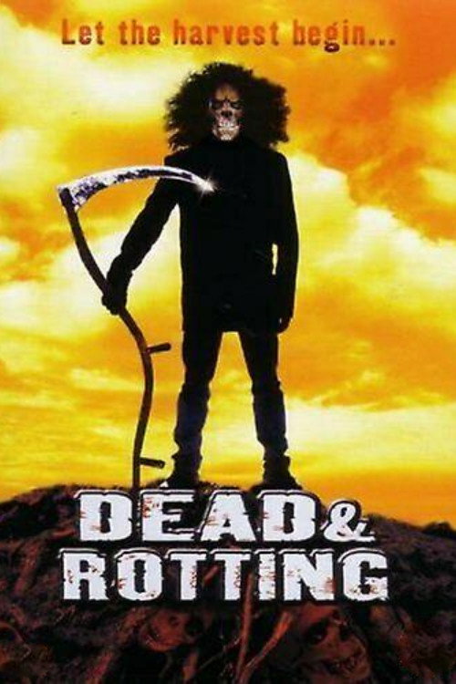 Dead & Rotting (2002) poster