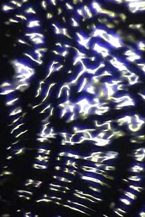 V1 (Tourbillons) (2007) poster