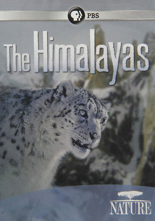 The Himalayas (2011) poster