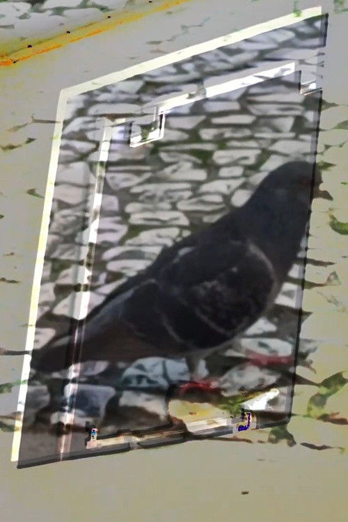 não tenho dormido muito mas continuo sonhando a cada piscada (2024) poster