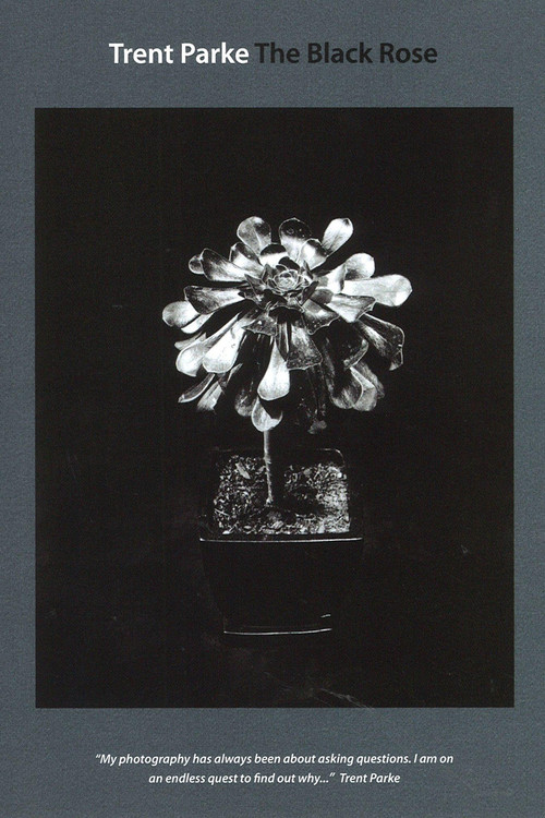 Trent Parke: The Black Rose (2015) poster