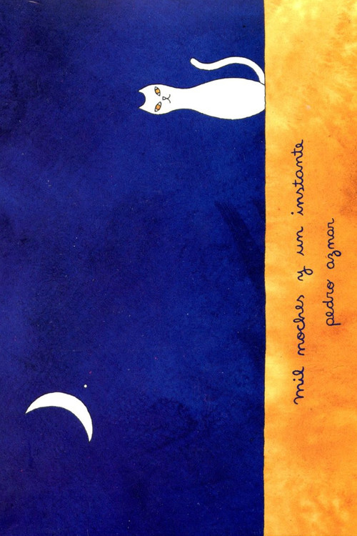 Pedro Aznar Mil noches y un instante (2013) poster