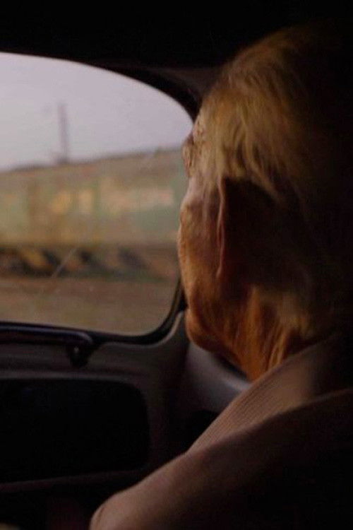 Vou-me Embora pra Paulista poster