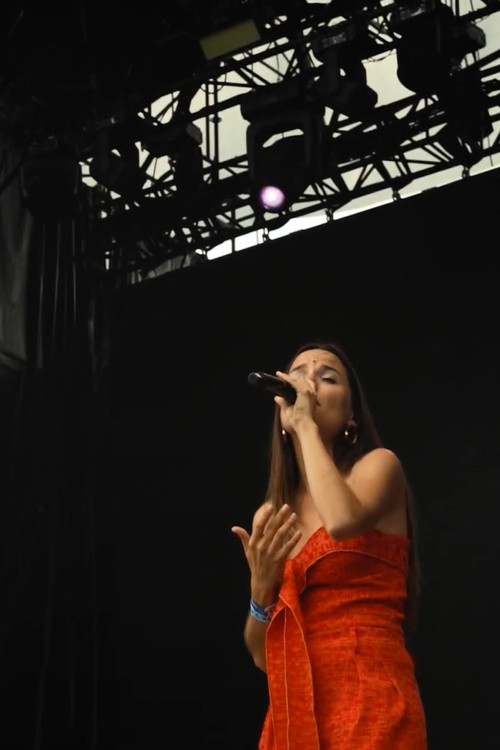 L'Onada | JUDIT NEDDERMAN (2023) poster