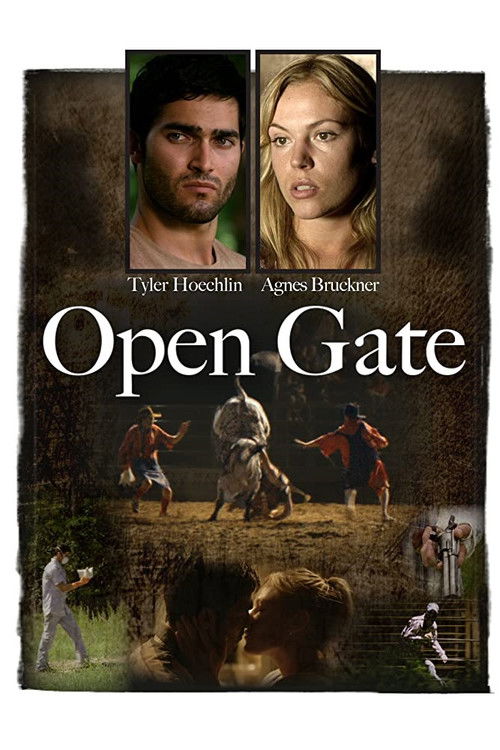 Open Gate (2011) poster