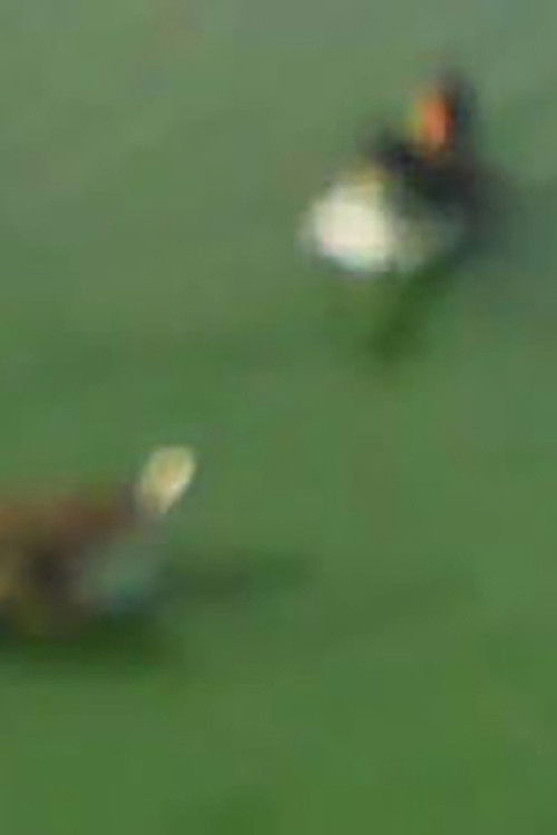 The Lamps (2015) poster