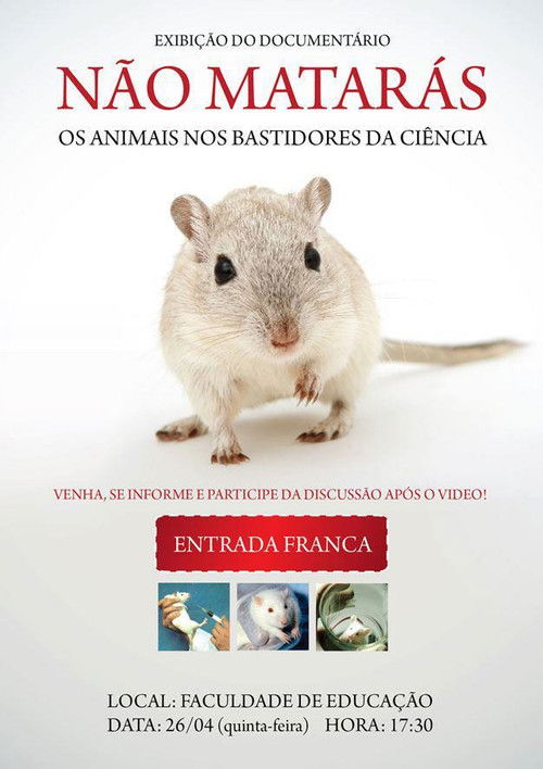 Não Matarás (2006) poster