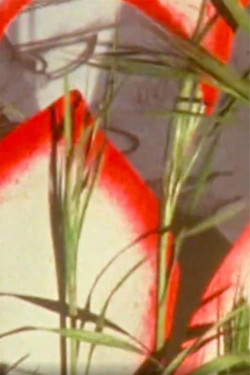 Monodie parsemée (1988) poster