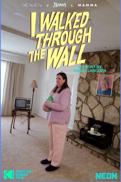 I Walked Through the Wall (2025) poster