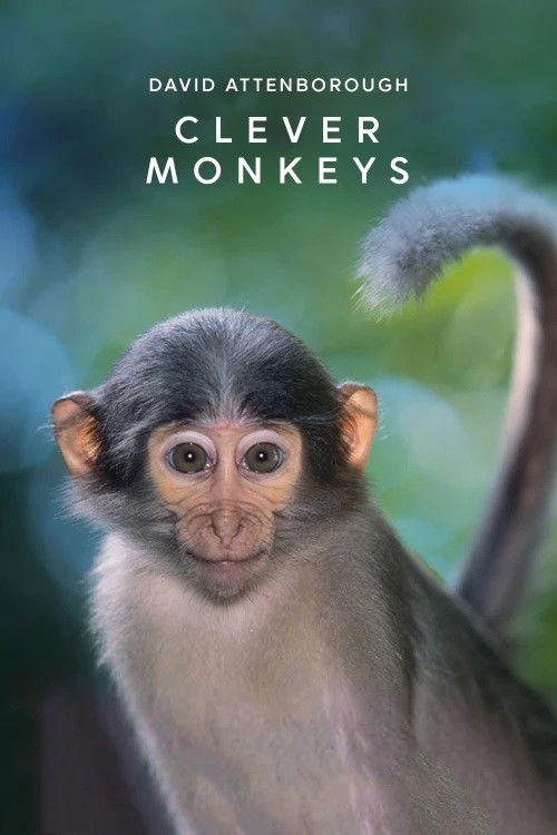 Clever Monkeys (2008) poster
