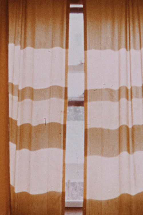 Studies In Chronovision (1975) poster