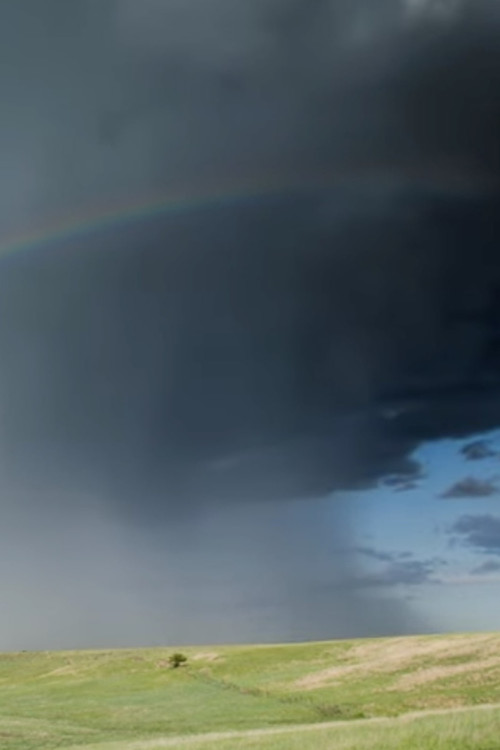 Protect Your Home (Interpret It Well) (2022) poster