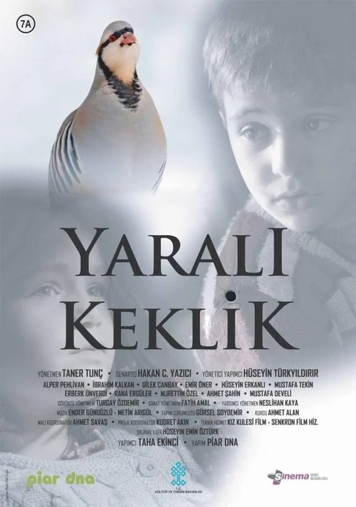 Yaralı Keklik (2019) poster