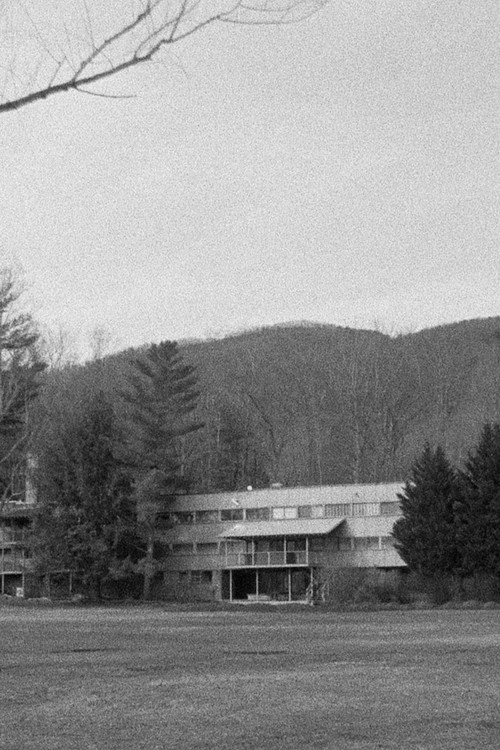 Looking Backward (2022) poster