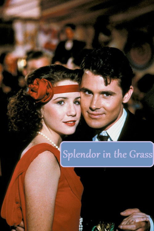 Splendor in the Grass (1981) poster
