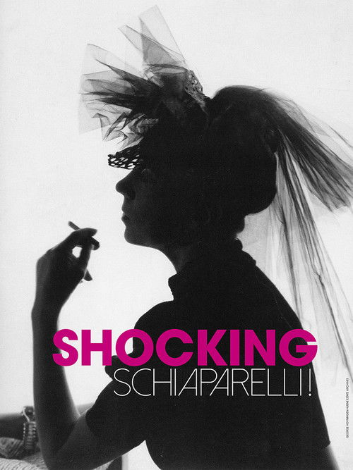 Shocking Schiaparelli! (2022) poster