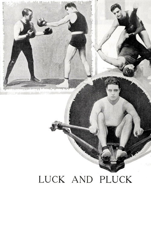 Luck and Pluck (1919) poster