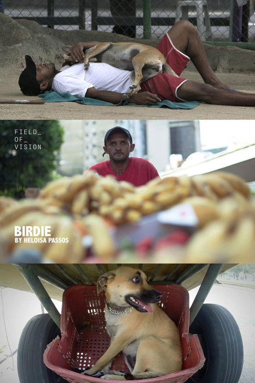 Birdie (2015) poster