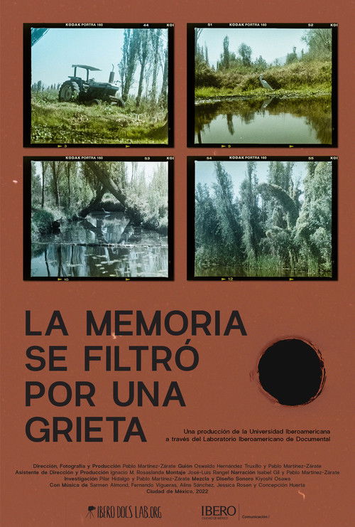 La memoria se filtró por una grieta (2022) poster