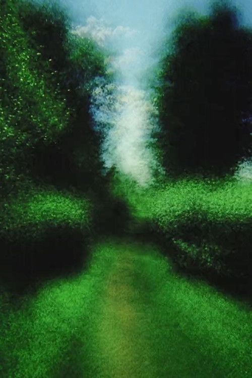 Brouillard #13 (2013) poster