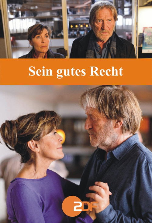 Sein gutes Recht (2015) poster
