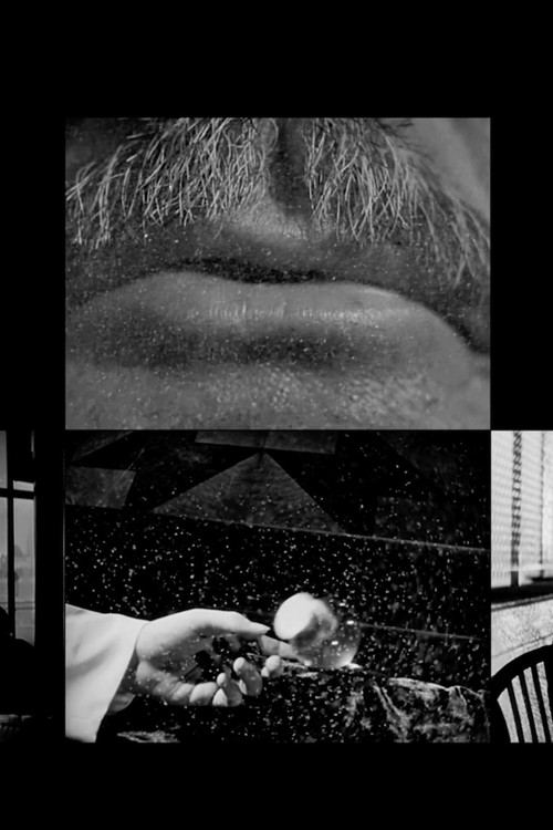 Cinema Study (2003) poster