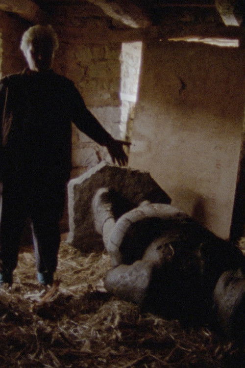 Generations of Images (2025) poster