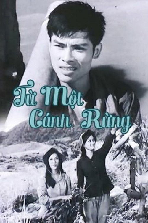 Từ Một Cánh Rừng (1978) poster