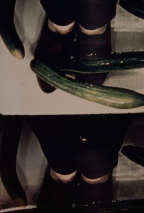 The Whole Body Feels Light and Wants to Fly… (1969) poster