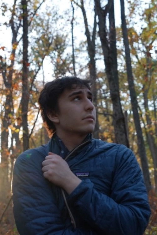 The Balcony (2024) poster