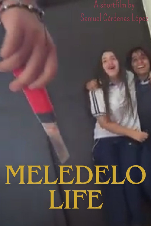 MELEDELO LIFE (2023) poster