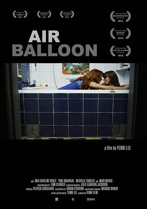 Air Balloon (2011) poster