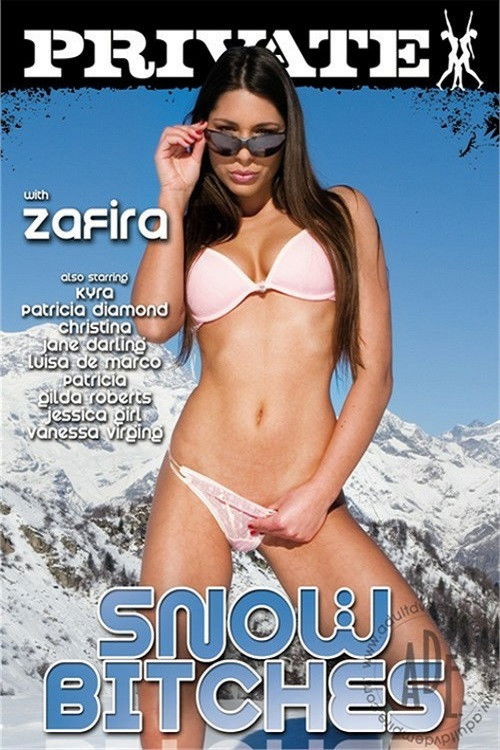 Snow Bitches (2011) poster