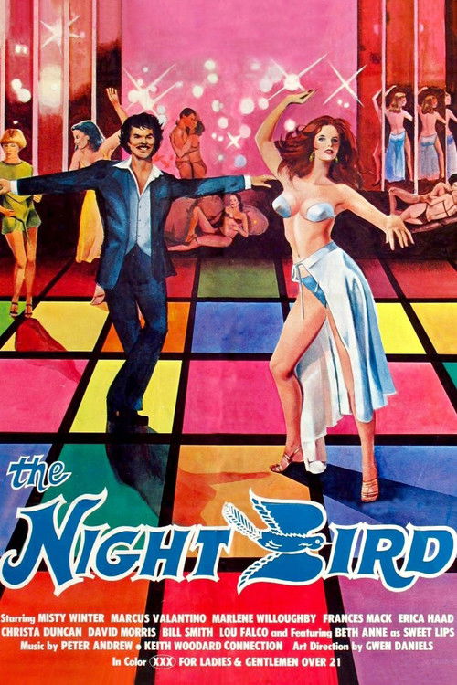 The Night Bird (1977) poster