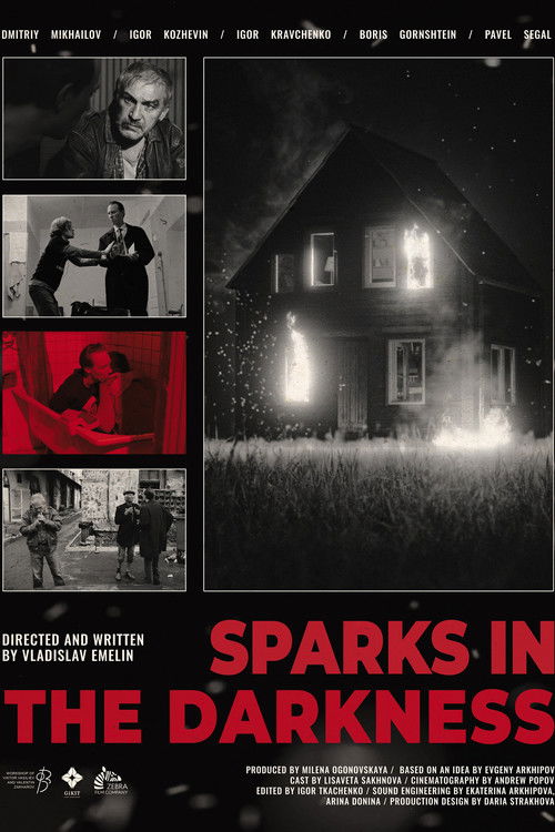 Sparks in the darkness (2024) poster