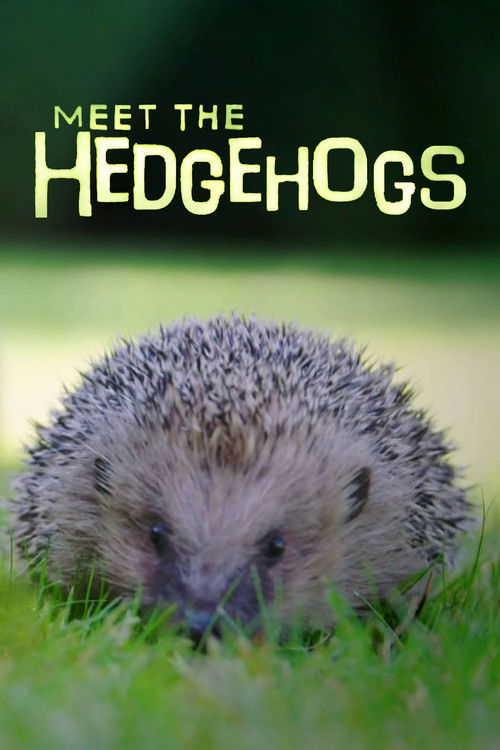 Meet the Hedgehogs (2017) poster