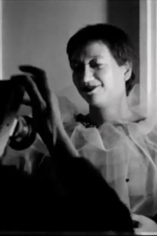 Studies Photographing a Model (1979) poster