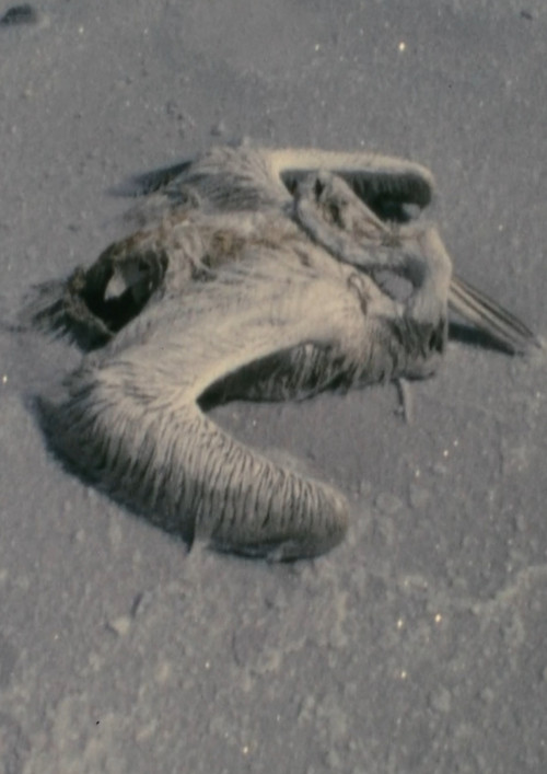 Utah Sequences (1970) poster