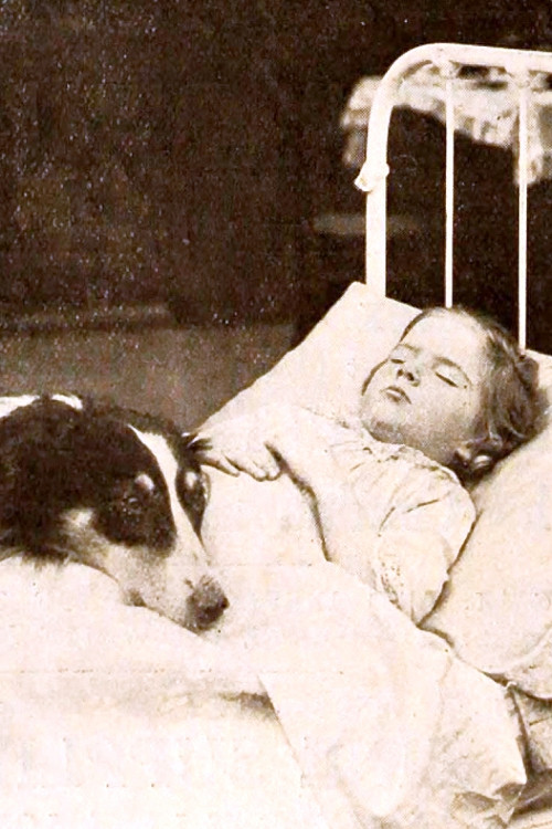 Playmates (1912) poster